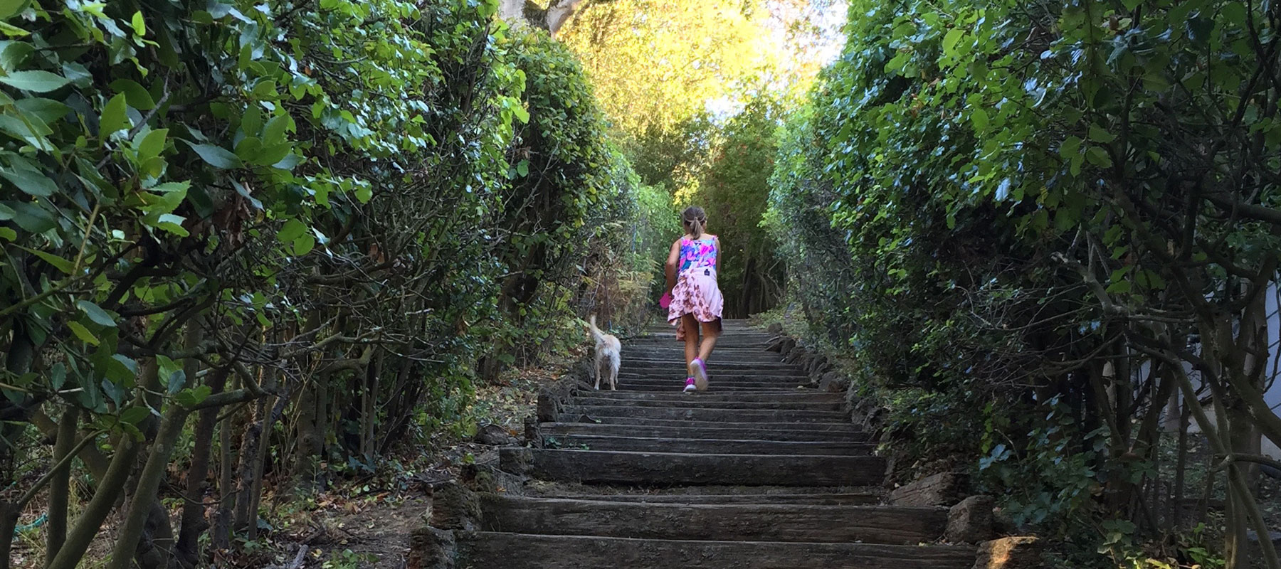 Park Hills Homes Association