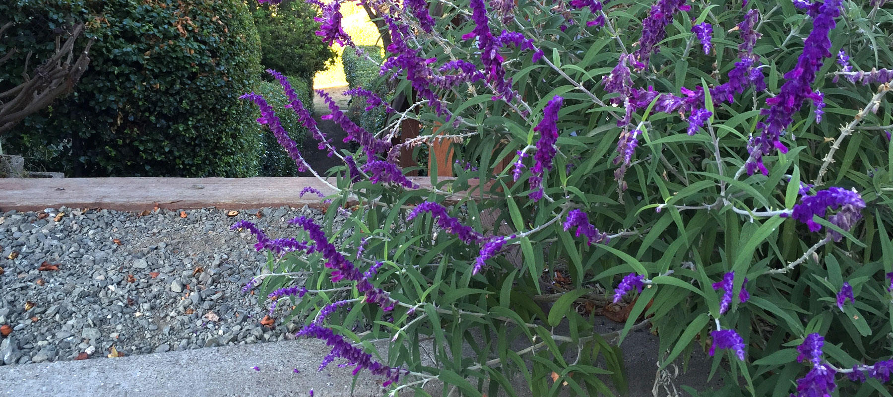 Park Hills Homes Association